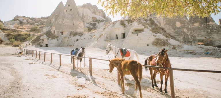 horseback-riding-in-endless-cappadocia-3